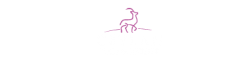 Ceylan | Halı & Perde